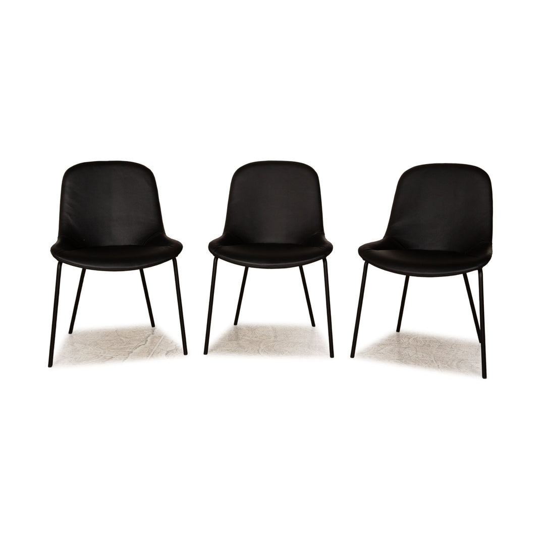 Lot de 3 chaises en cuir Walter Knoll Sheru noir salle à manger