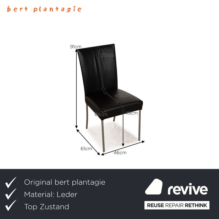 6er Garnitur bert plantagie Leder Stuhl Schwarz Esszimmer