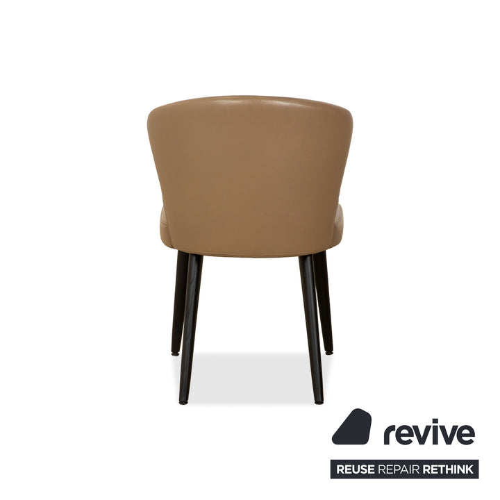 6er Garnitur Minotti Aston Leder Stuhl Braun Kaffee Esszimmer