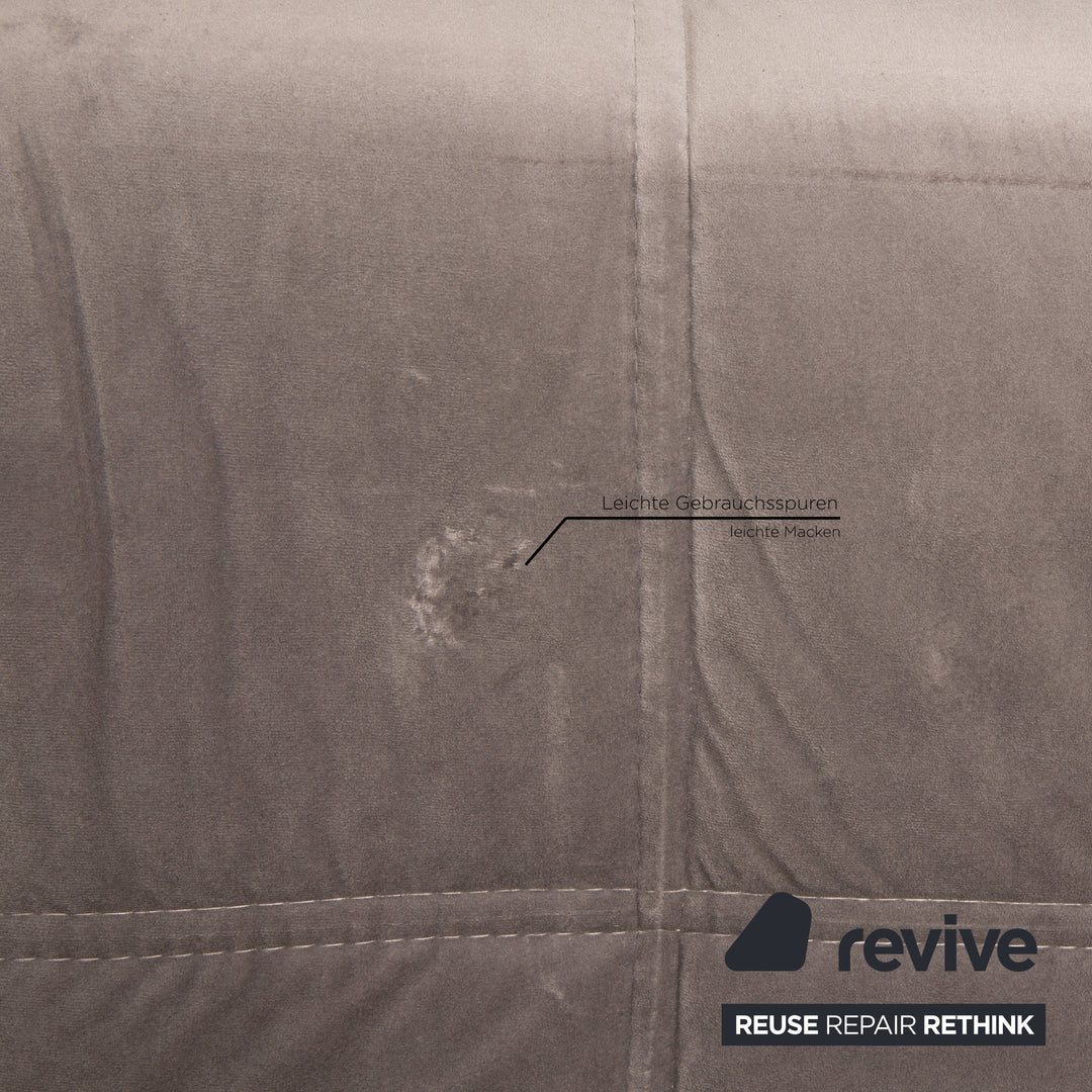 IconX STUDIOS Bloom Samt Stoff Sessel Grau