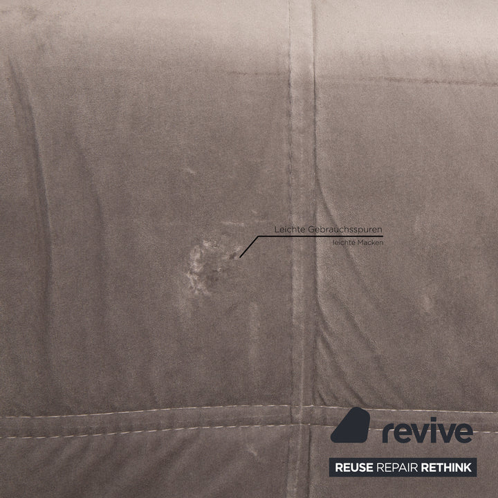 IconX STUDIOS Bloom Samt Stoff Sessel Grau