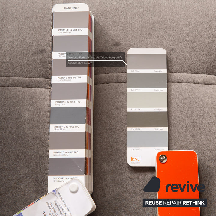 IconX STUDIOS Bloom Samt Stoff Sessel Grau