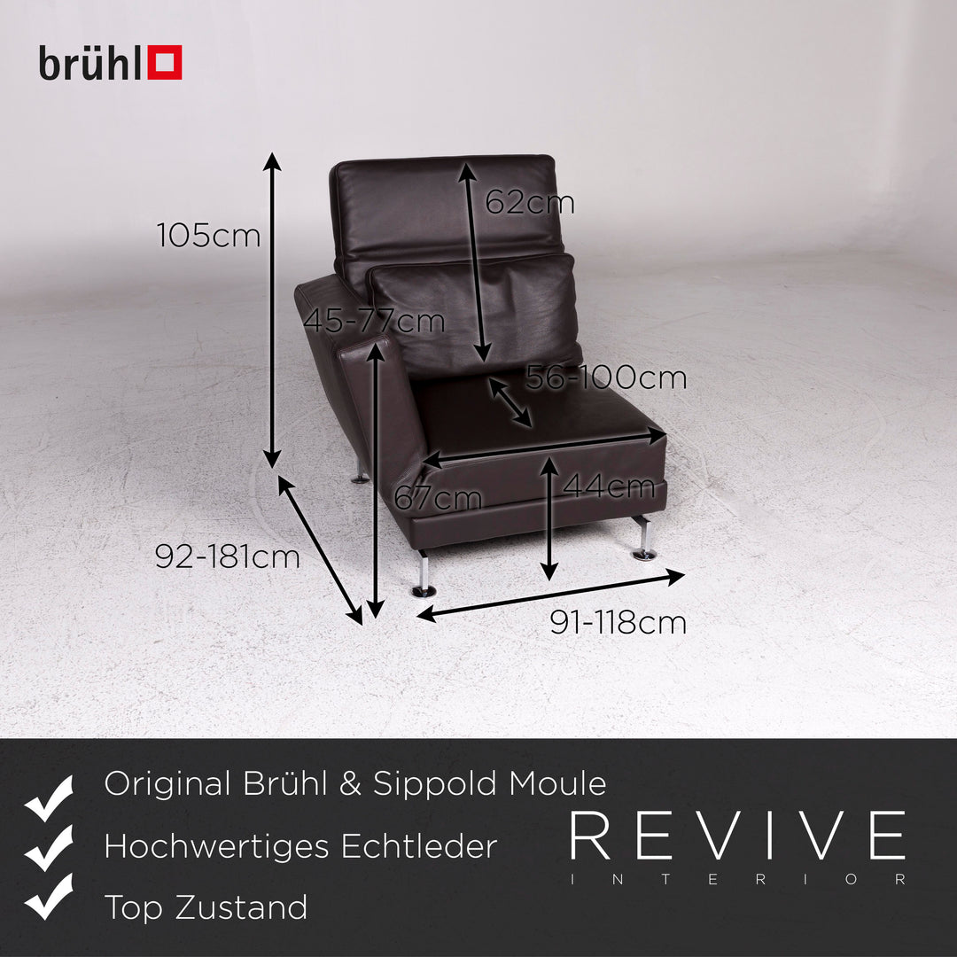 Brühl & Sippold Moule Leder Sessel Braun #9794
