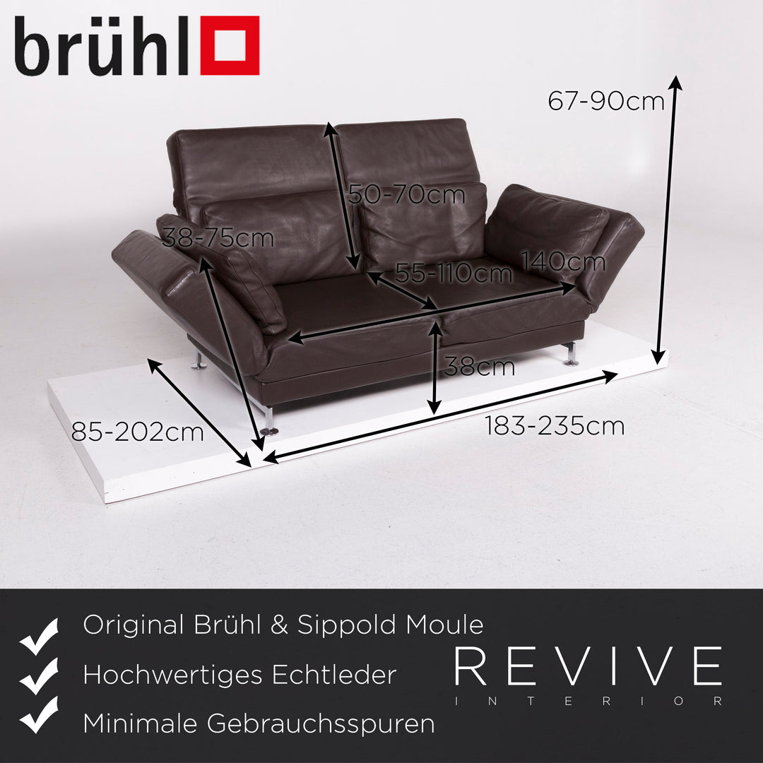 Brühl & Sippold Moule Leder Sofa Braun Zweisitzer #11607