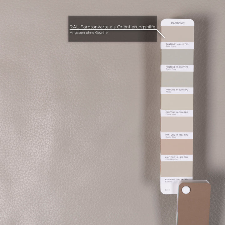 Brühl & Sippold Moule Leder Sofa Grau Zweisitzer Funktion Relaxfunktion Couch #11715