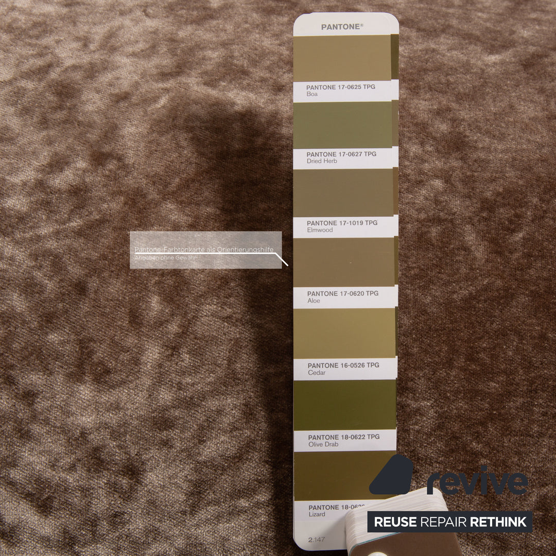 Bretz Gaudi Samt Bett Braun Doppelbett