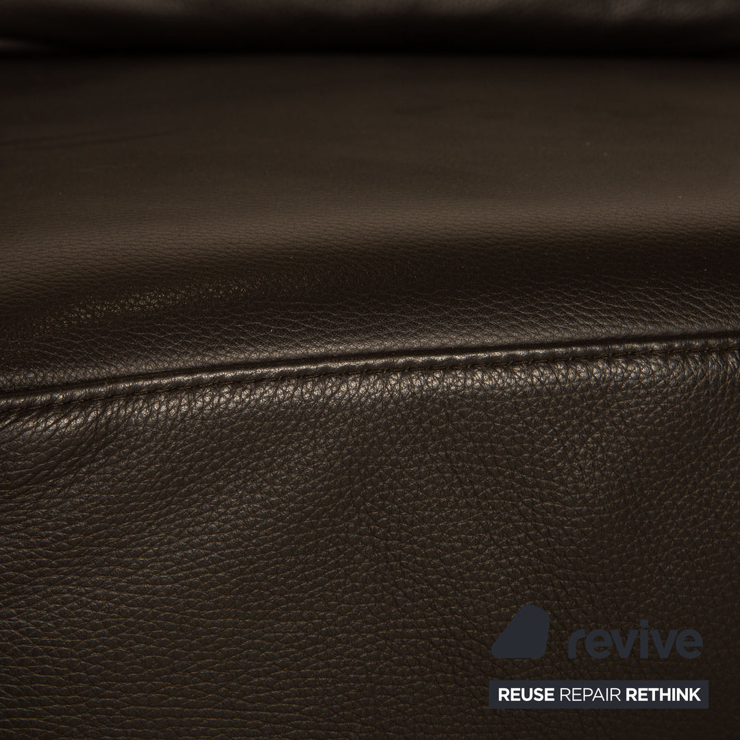 Brühl Moule (medium) Leder Zweisitzer Braun Dunkelbraun Sofa Couch