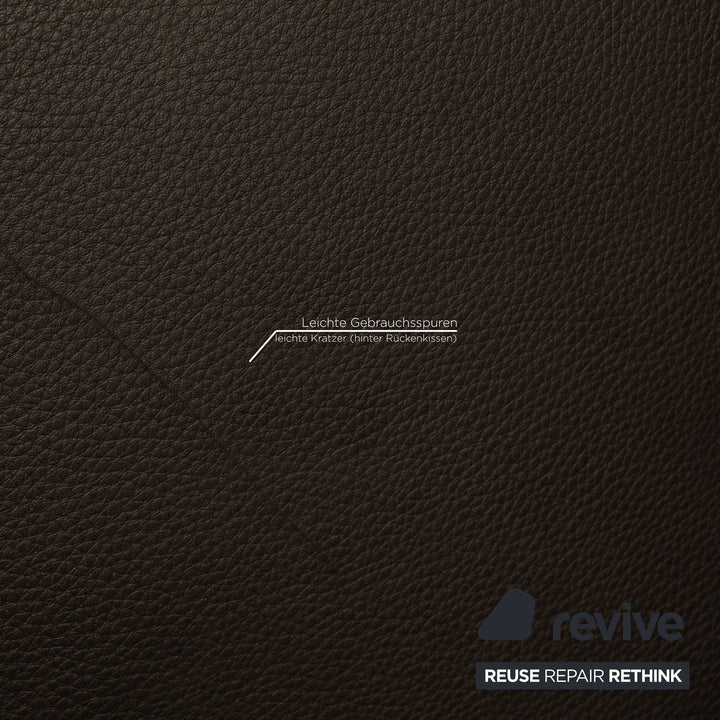 Brühl Moule (medium) Leder Zweisitzer Braun Dunkelbraun Sofa Couch
