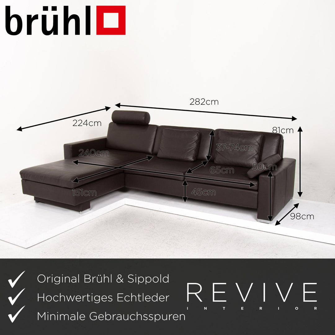 Brühl & Sippold Alba Leder Ecksofa Dunkelbraun Braun Funktion Couch #13402