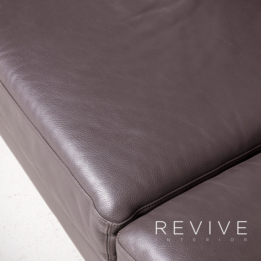 Brühl Moule Designer Leder Sofa Braun Echtleder Zweisitzer Couch #7388