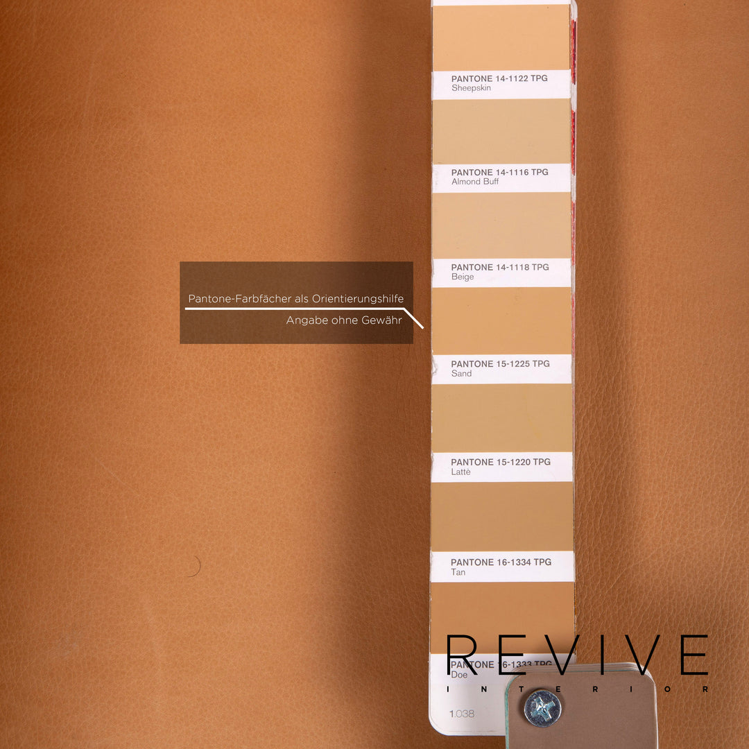 Cor Nemo Leder Sessel Beige #15573