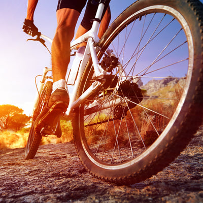 Das Fahrrad - Mobil und Nachhaltig