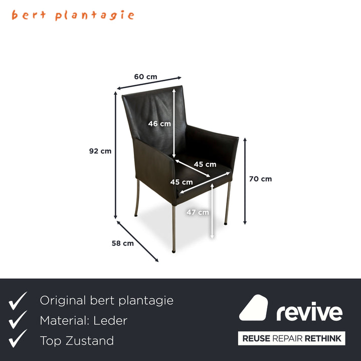 4er Garnitur bert plantagie ARC-E Leder Stuhl Anthrazit Esszimmer