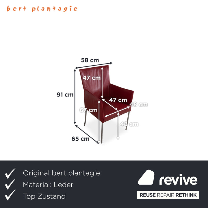 4er Garnitur bert plantagie ARC-E Leder Stuhl Rot Esszimmer