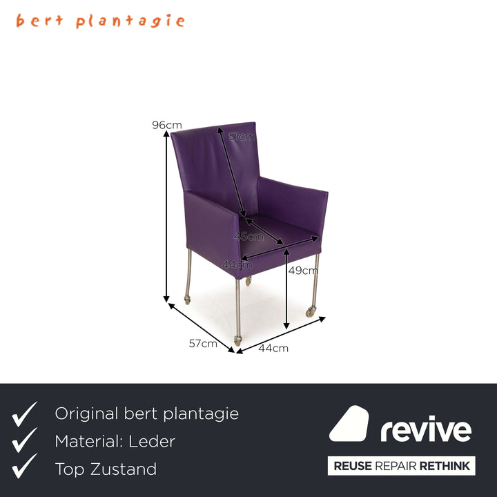 4er Garnitur bert plantagie Arc Leder Stuhl Lila Esszimmer