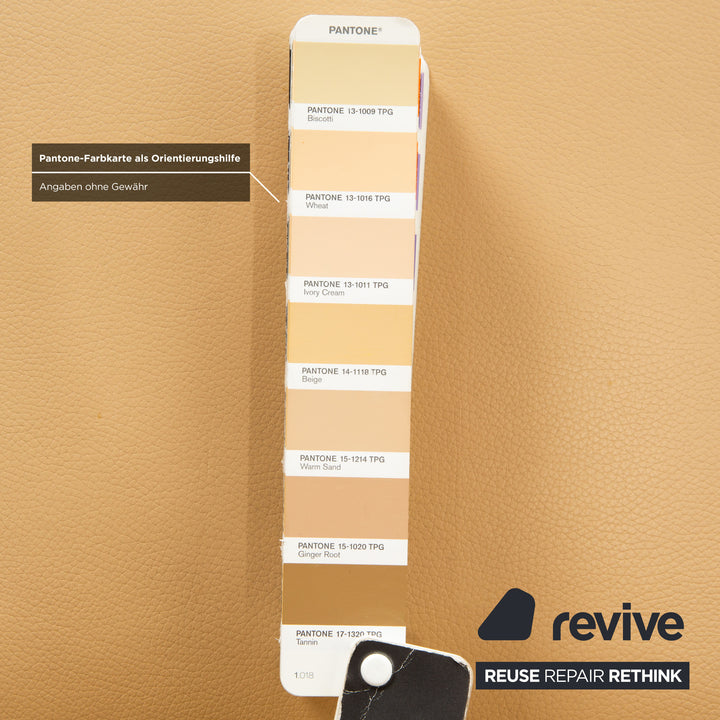 4er Garnitur bert plantagie Leder Stuhl Beige Esszimmer