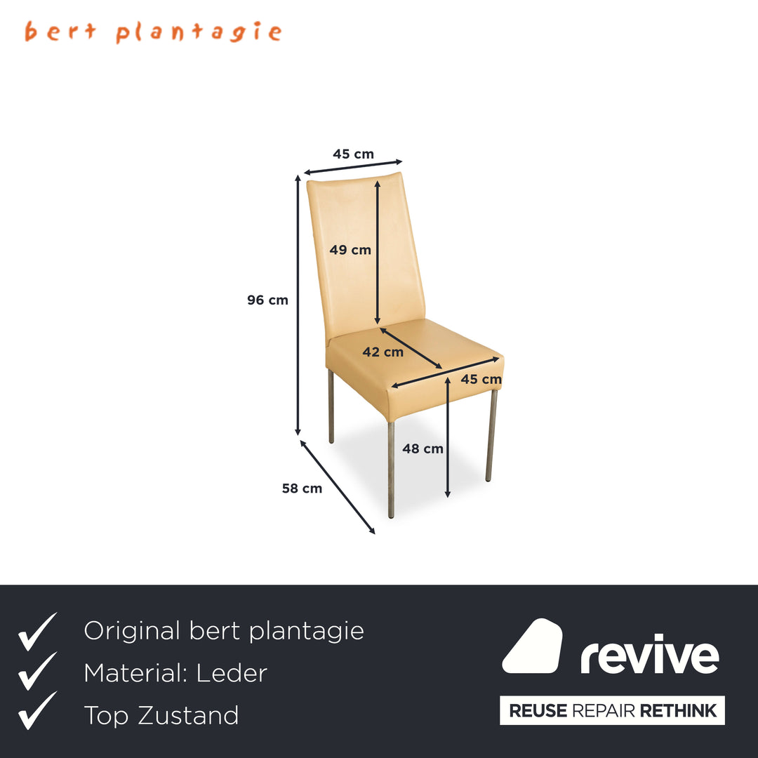 4er Garnitur bert plantagie Leder Stuhl Beige Esszimmer