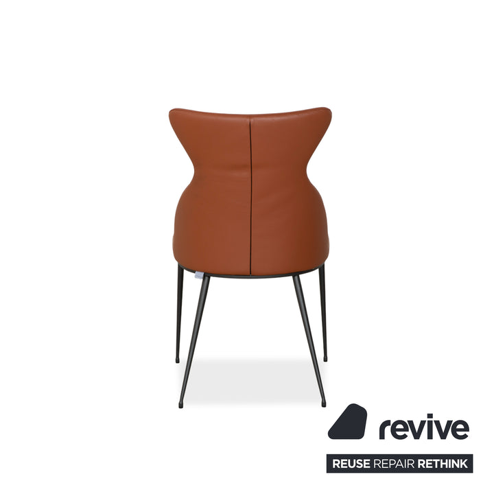 4-piece set Bert Plantagie Luno leather chair, brown, orange, cognac, swivel function