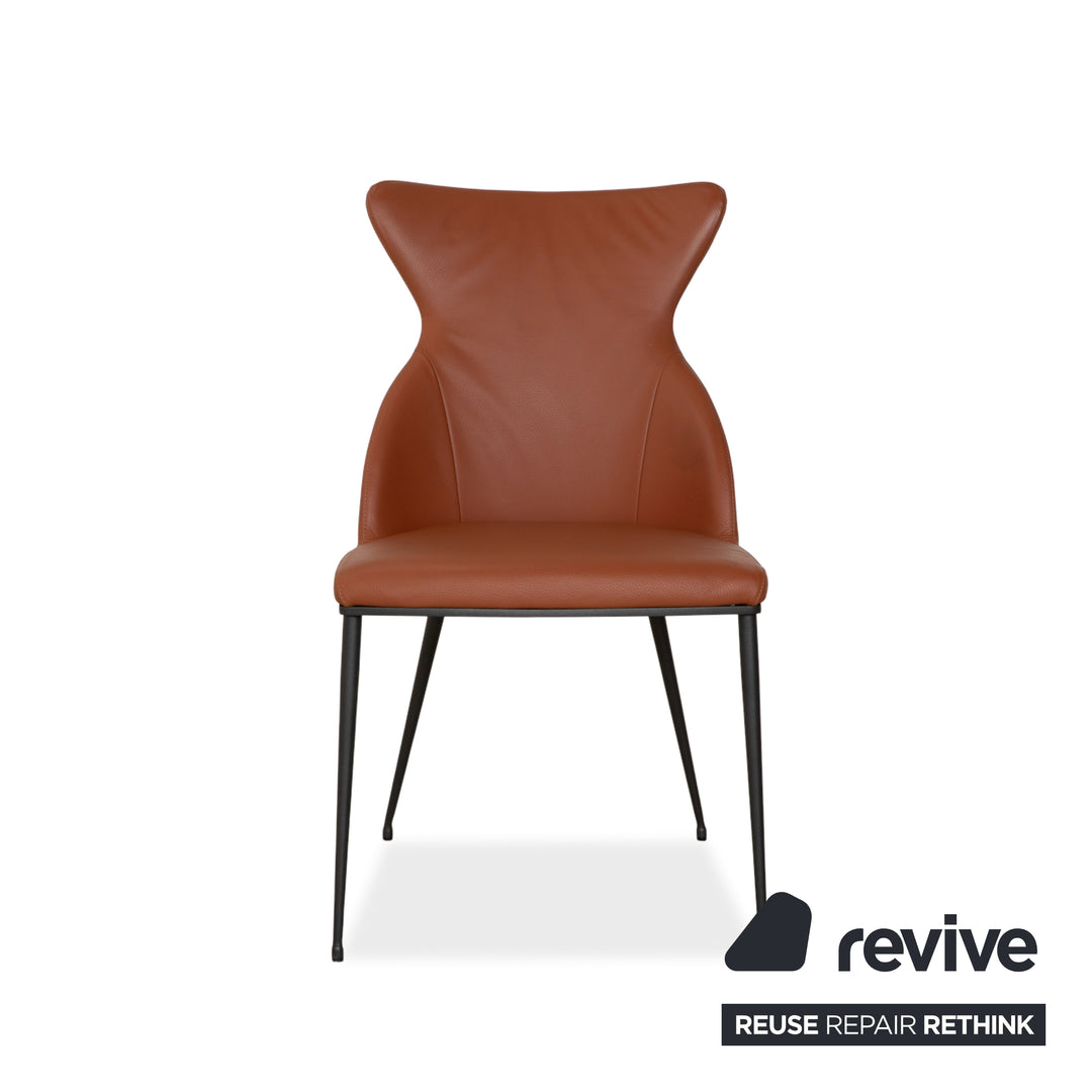 4-piece set Bert Plantagie Luno leather chair, brown, orange, cognac, swivel function