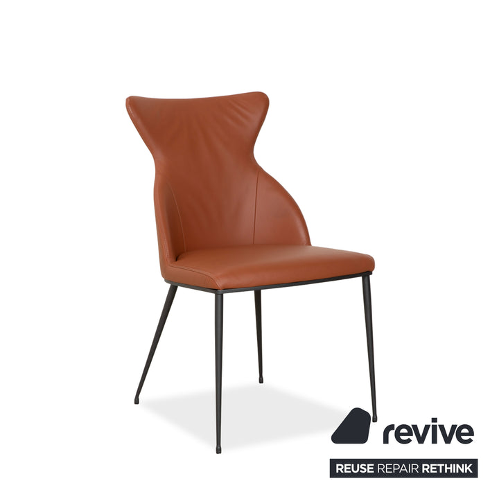 4-piece set Bert Plantagie Luno leather chair, brown, orange, cognac, swivel function