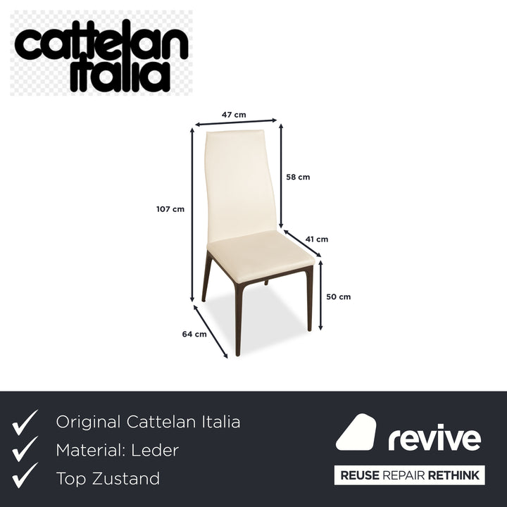 4er Garnitur Arcadia Cattelan Italia Leder Stuhl Creme Weiß Holz Esszimmer