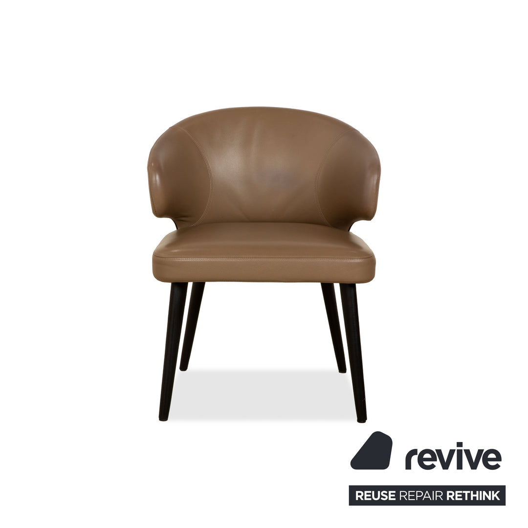 Minotti Aston leather chair set, brown coffee, for dining room, 4-piece set