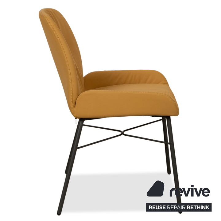 4er Garnitur S1000 Leder Stuhl Gelb Senf Esszimmer