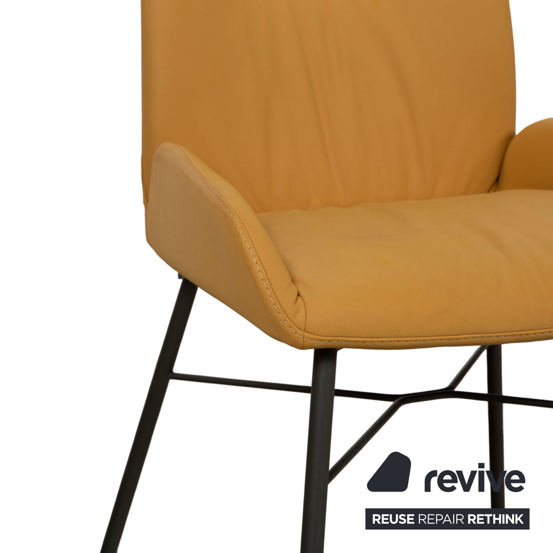 4er Garnitur S1000 Leder Stuhl Gelb Senf Esszimmer