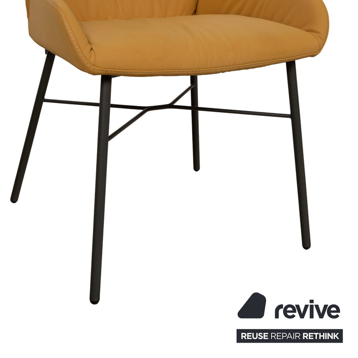 4er Garnitur S1000 Leder Stuhl Gelb Senf Esszimmer