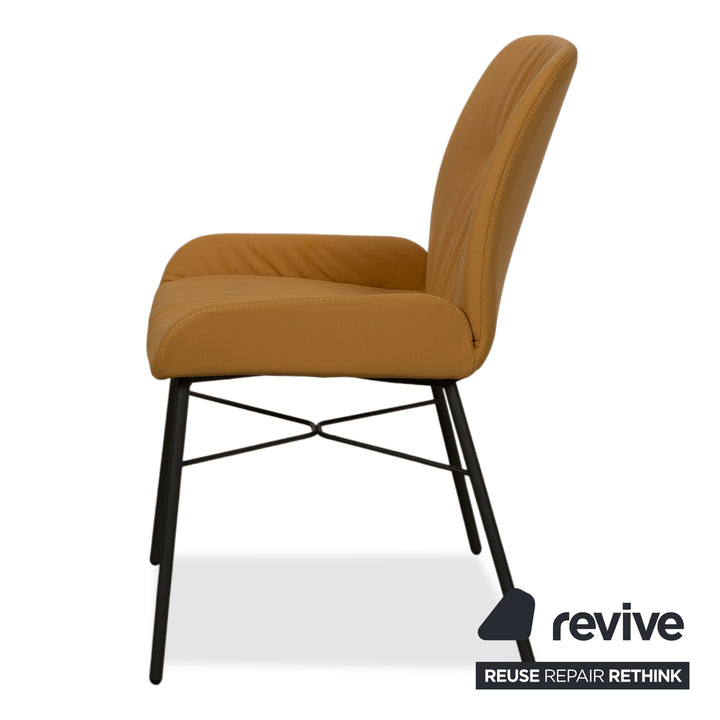 4er Garnitur S1000 Leder Stuhl Gelb Senf Esszimmer