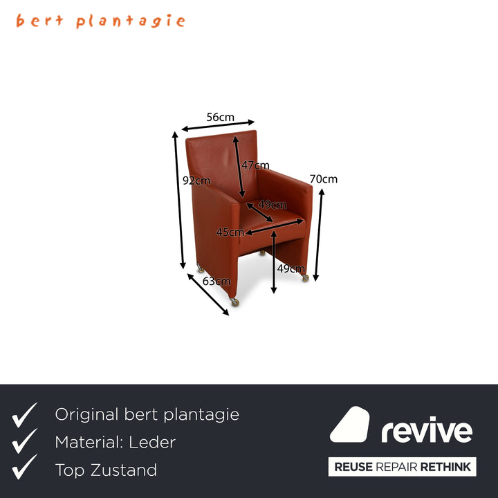 4er Sessel Garnitur bert plantagie Leder Orange
