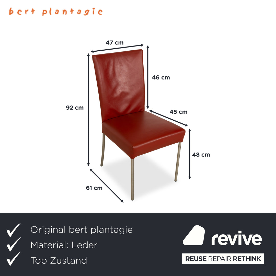 Set of 6 bert plantagie Felp leather chairs red Bordeaux wine
