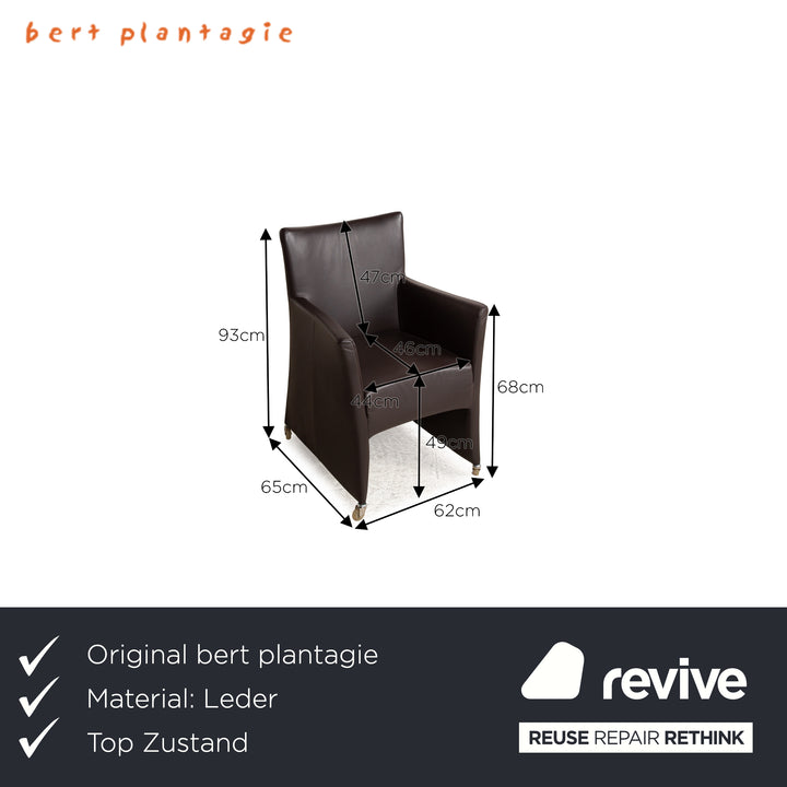 6er Garnitur Bert Plantagie Leder Stuhl Braun Dunkelbraun Esszimmer