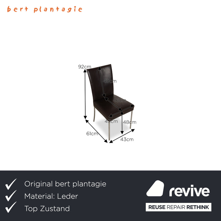 6er Garnitur bert plantagie Leder Stuhl Braun Esszimmer