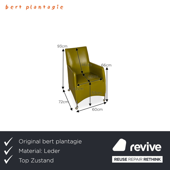 6er Garnitur bert plantagie Leder Stuhl Grün