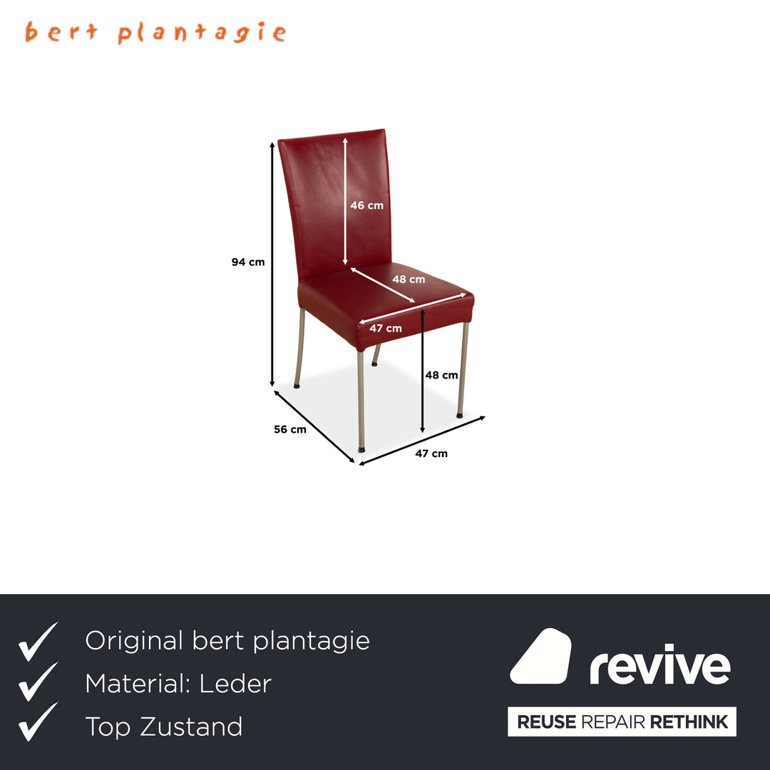 6er Garnitur bert plantagie Leder Stuhl Rot Esszimmer