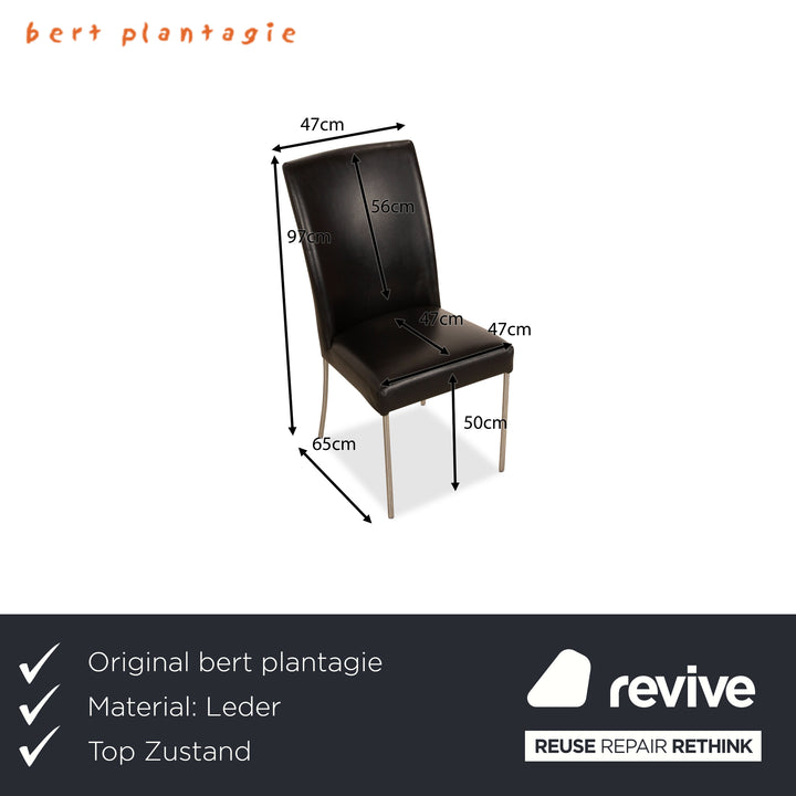 6er Garnitur bert plantagie Leder Stuhl Schwarz