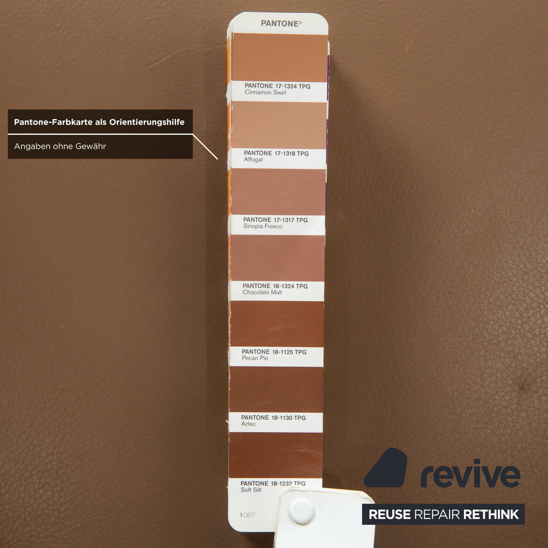 6er Garnitur Minotti Aston Leder Stuhl Braun Kaffee Esszimmer