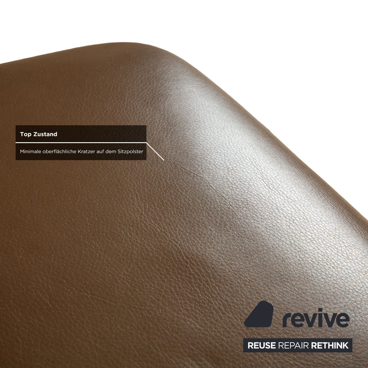 6er Garnitur Minotti Aston Leder Stuhl Braun Kaffee Esszimmer