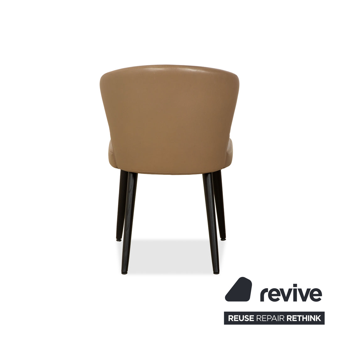 Ensemble de 6 chaises en cuir Minotti Aston, marron café, pour salle à manger.