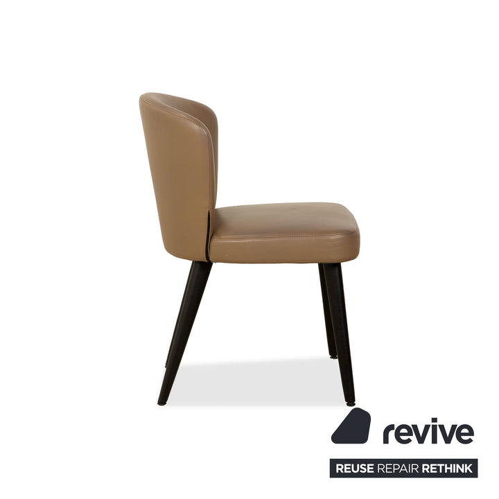 6er Garnitur Minotti Aston Leder Stuhl Braun Kaffee Esszimmer