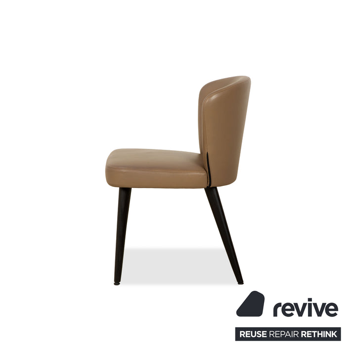 Ensemble de 6 chaises en cuir Minotti Aston, marron café, pour salle à manger.