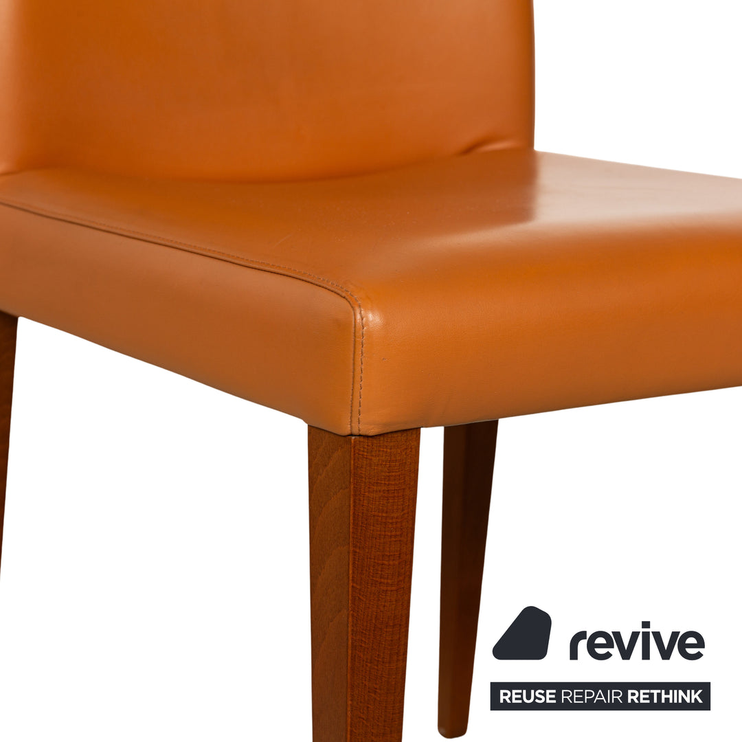 6er Garnitur Poltrona Frau Leder Stuhl Braun Gelb Orange