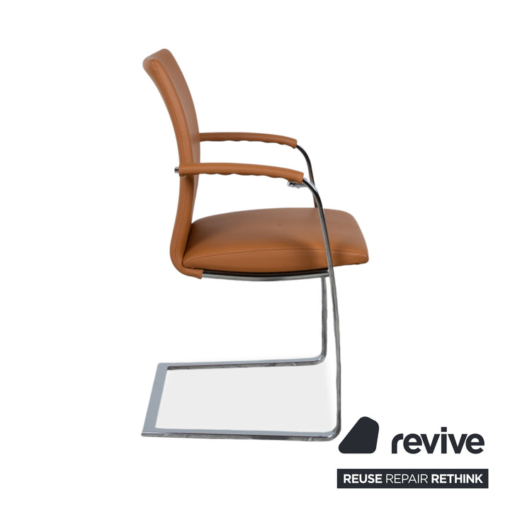 6er Garnitur Tonon Swing Leder Stuhl Braun