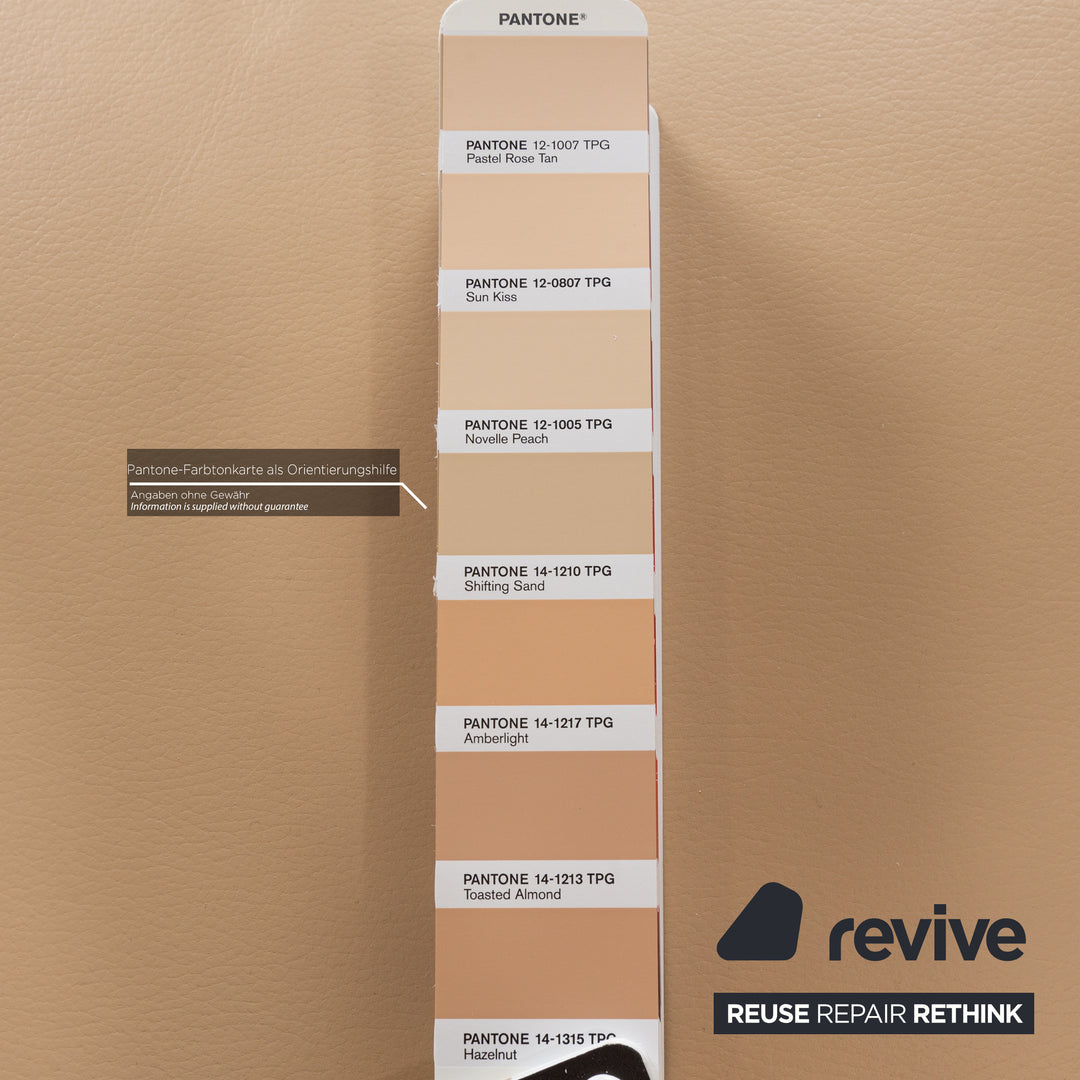 8er Garnitur bert plantagie Jeanne Flex Leder Stuhl Beige Esszimmer