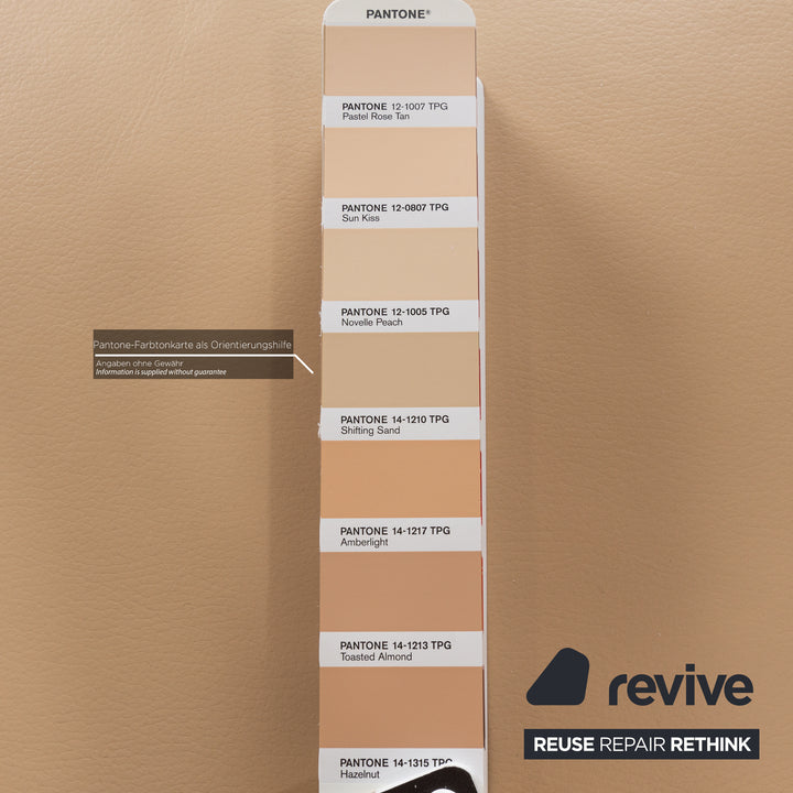 8er Garnitur bert plantagie Jeanne Flex Leder Stuhl Beige Esszimmer