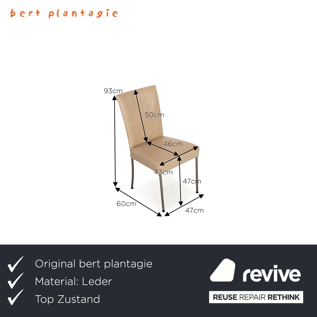 Lot de 8 chaises bert plantagie cuir beige salle à manger