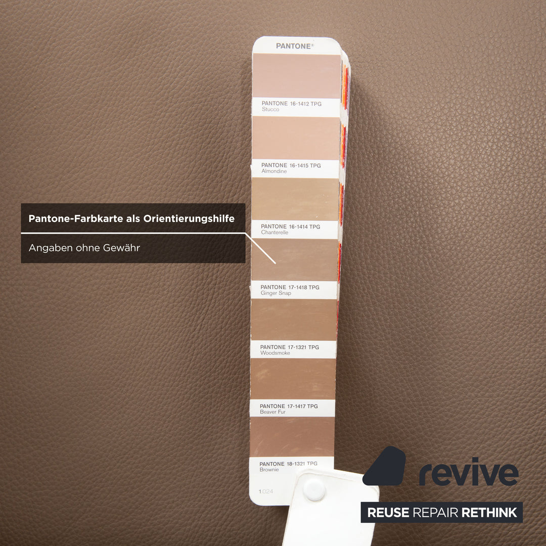 BoConcept Fly Leder Sessel Braun Taupe