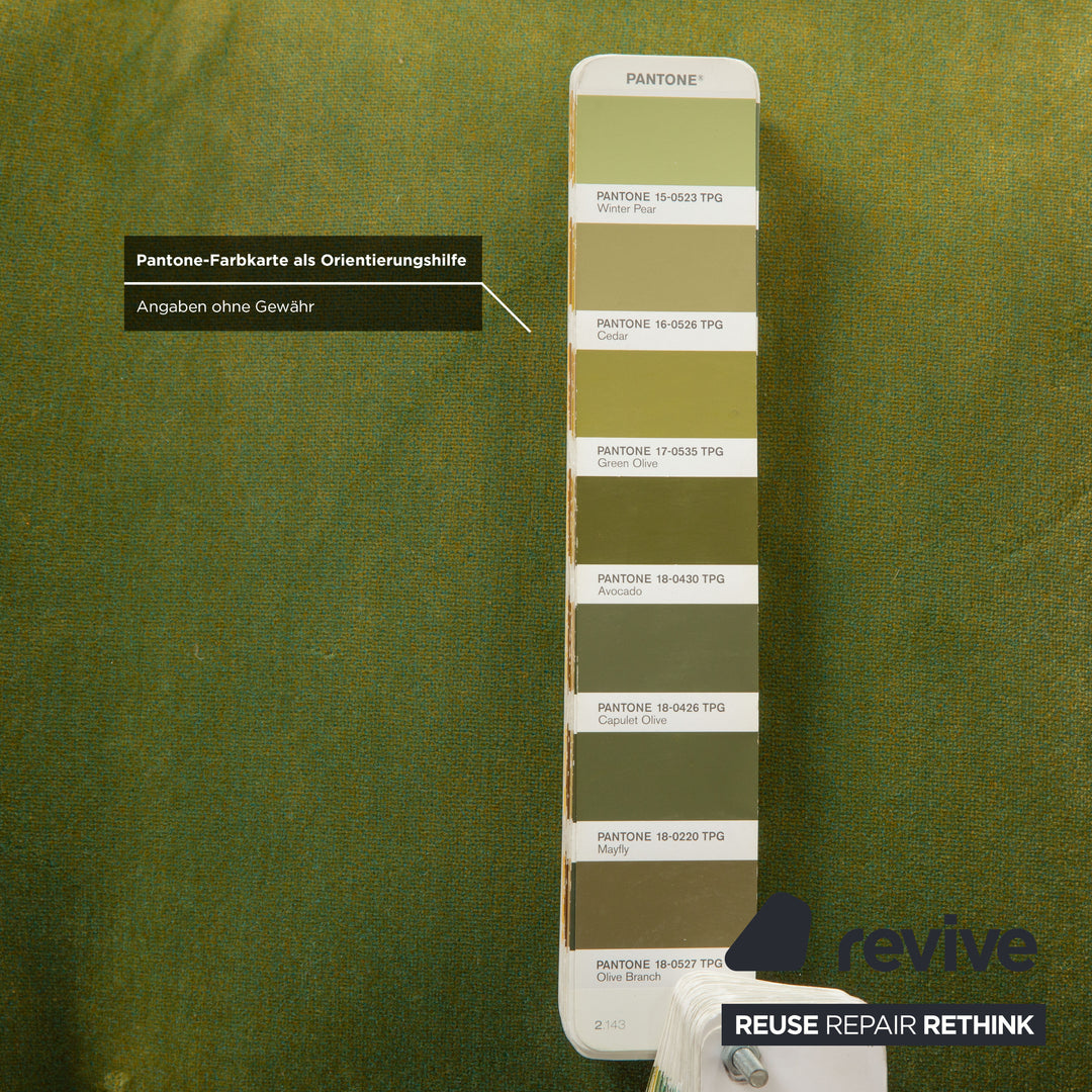 Bretz Ohlinda Stoff Liege Grün midsummer oliv bunt Blumenmuster Muster Samt Daybed