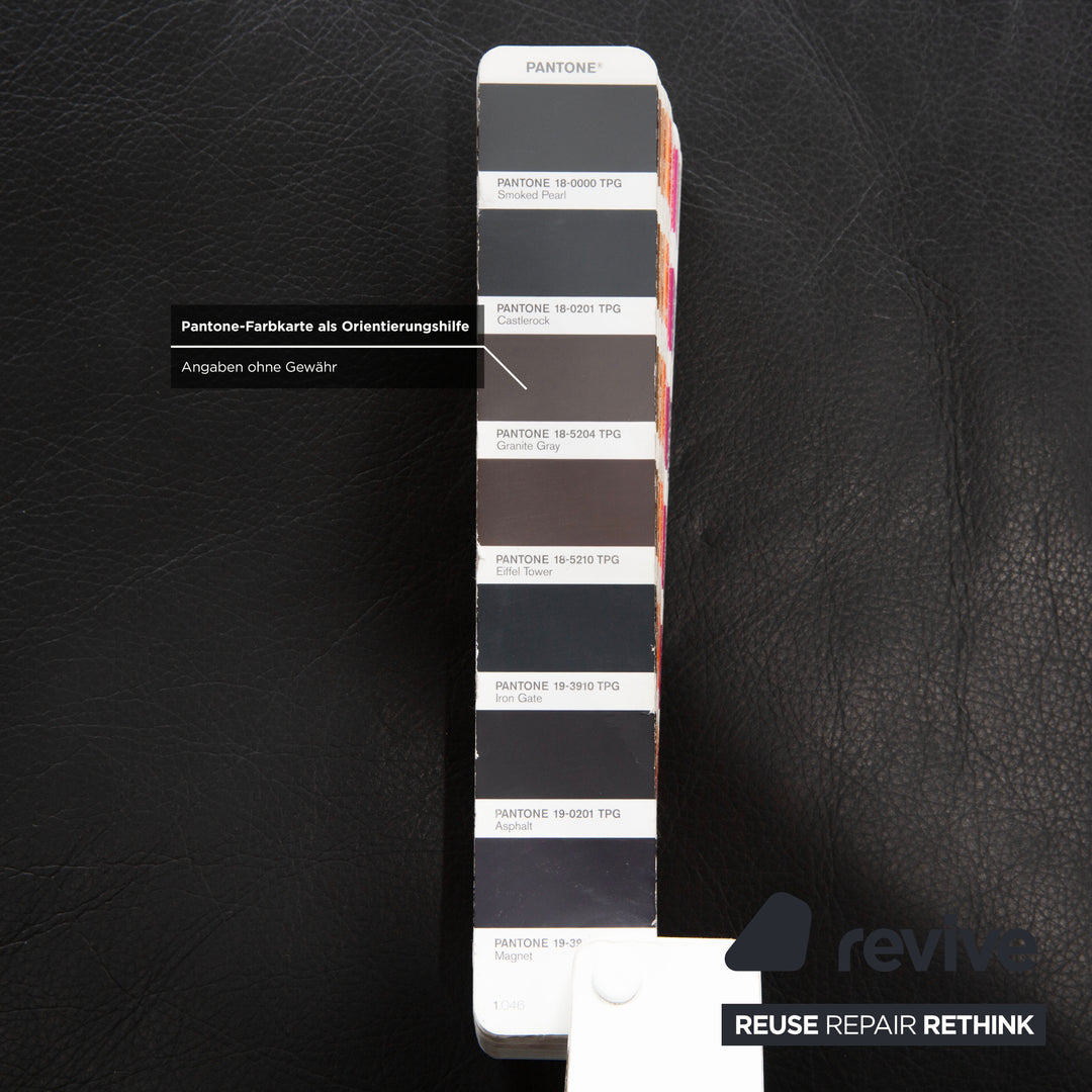 Brühl Alba Zweisitzer Sofa Leder Dunkelgrau Anthrazit manuelle Funktion